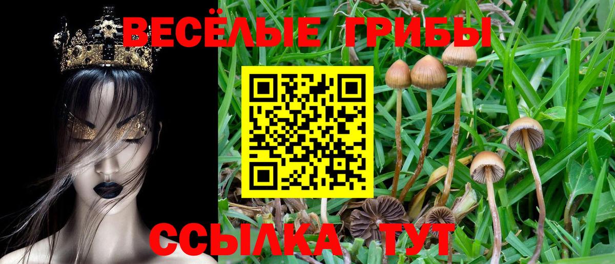 Троицк  Галлюциногенные грибы MAGIC MUSHROOMS  Псилоцибиновые грибы Magic Shrooms  Вход с VPN 